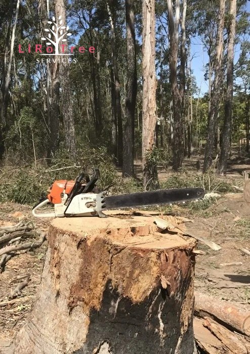 Tree Removal LiRo Tree Services 9 Tree cutting Canberra